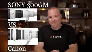 SONY 300mm f/2.8GM против Canon RF100-300mm f/2.8L IS. Стоит ли объектив Canon на 4000 долларов дороже???