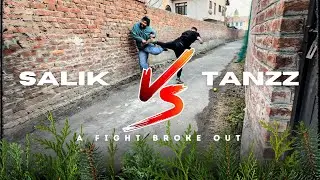 SALIK AUR TANZZ KI CRICKET LADAAYI 🏏🔥| END MAI PERSONAL HO GAYA #vlogs #trending #kashmir 