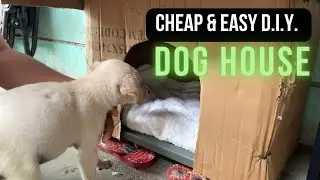 D.I.Y. Dog House made of PVC Plastic Tube, Tray and Boxes