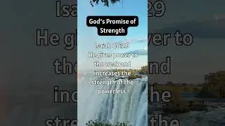 This One Bible Verse Will Transform Your Entire Day! #foryou #bibleverse #fypシ゚viral#dailygodlytruth