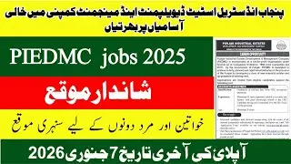 Punjab Industrial Estate Development & Management Company (PIEDMC) Jobs 2025|Apply till7 January2025