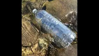 Cheb Terro - Water [Lyrics]