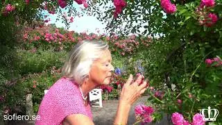 Sofiero slott och slottstr&auml;dg&aring;rd - Sommarflor 2018