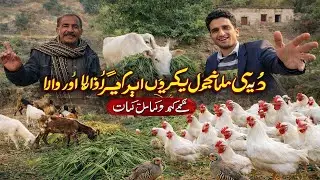  Traditional Village Life | Goats, Cow & Desi Farming. The village life, Kashmir.