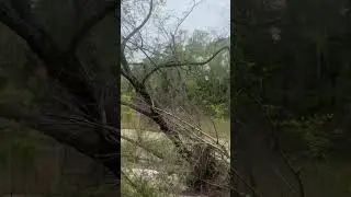 00 Redbud, New Caney, TX