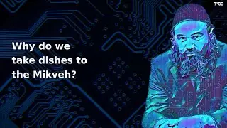 Why do we take dishes to the Mikveh?