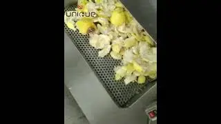 Dboule roller lemon orange citrus juice extracting machine juicer