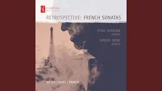 Sonata for Violin & Piano in B Major, Op. posth: I. Allegro con moto