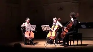 J. Haydn: Divertimento in D major (Cello Trio)