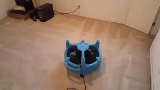 LOS ANGELES CARPET CLEANING EXPERTS | CARPET CLEANING DEEP STEAM RESTORATION DRY TO THE TOUCH!!!