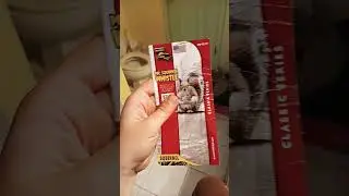 Squirrel call and sound!