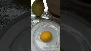 Душистые, сочные, ярко-жёлтые лимончики с тоненькой шкурочкой растут у нас на балконе.