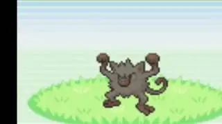 Sharkwolf Plays Pokemon Leaf Green Nuzlocke - Episode 3