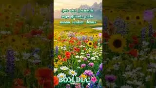 Esperan&ccedil;a renovada 🙏 #gratid&atilde;o #paz #amor  #prote&ccedil;&atilde;o #luz #mensagem #deus no comando #bom dia de f&eacute;