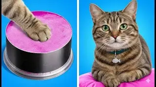 Look After Your Pet | Useful Hacks for Pet Owners!