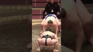 Sumo Guys 🇯🇵