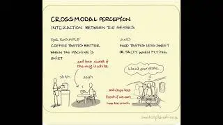Episode 12:  Crossmodal Perception - Full podcast show