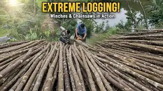 &ldquo;Extreme Logging Winch in Action: Full Timber Hauling Process Explained&rdquo;