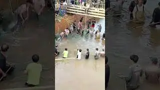 Fish jump into nets themselves: the process of collective fishing under the bridge
