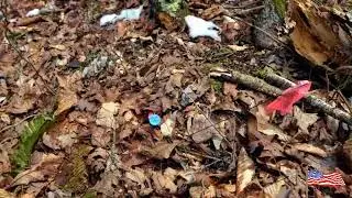 71 Surveyed KY acres of mountain bliss!