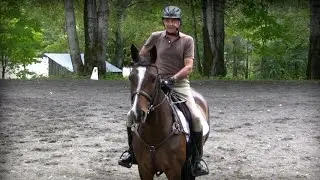 Rider Fitness - Exercises While Mounted Part B