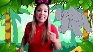 SONG : WHAT CAN ANIMALS DO?