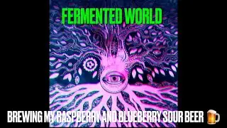 Brewing my RASPBERRY and BLUEBERRY SOUR beer #fermentedworld