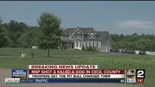 Maryland State Police troopers fatally shoot 'aggressive' pit bull