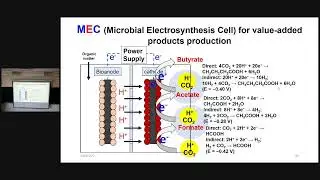 2022 Mitalk 6-Extracellular Electron Transfer