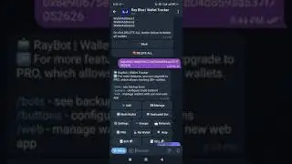 How to Track Whale Crypto Wallets on Telegram Using Bots | Easy Guide