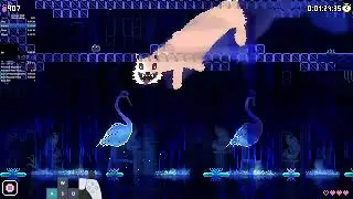 Animal Well True Ending Glitched Speedrun in 4:05:43 (World Record)