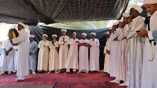 من زاوية سيدي موسى شيخ عبدالرحمن في زفاف المحمودي❤️