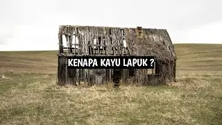 Kenapa kayu lapuk ?