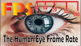 How many fps the human eye can see? | Infinity News |