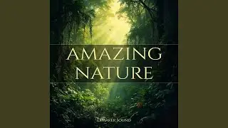 Amazing Nature