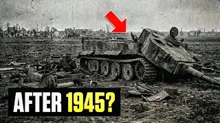 What Happened to the German Tiger Tanks After WW2