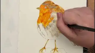 Bird painting ideas | Relaxed sketchbook session for beginners