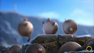 Animals after Christmas