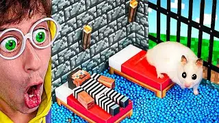 🐹 Hamster Atrapado en la Cárcel de Minecraft... (ayuda)