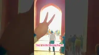 Taj Mahal 🕌in the Morning 🌇Fog… || Taj Mahal Agra Reels || Taj Mahal