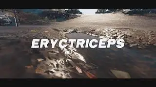 ErycTriceps - H1Z1 Montage #2