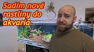Nové rastliny do akvaria 💧 skúsim uvidím 😁🍀🌿🪻🌱 #akvarium