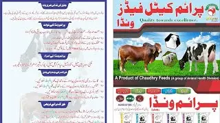 Best Cattle Feed in Pakistan | Chaudhry Feeds Mills PVT LTD
