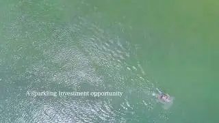 Fairshore Noosa Beachfront - Luxury Dual Key Apartment