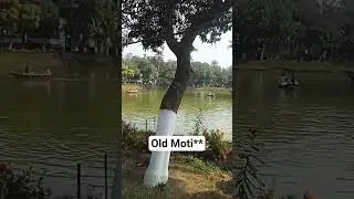 Old Moti**** #Offbeat Place in west bengal #Motijhilpark #minivlog
