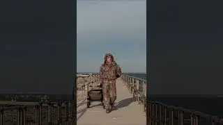 Exploring Barnegat Jetty Majestic birds
