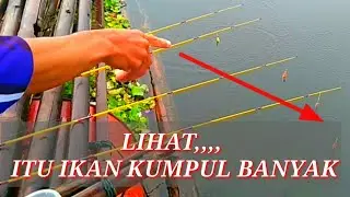 HUJAN GERIMIS, SAMPAI KETETER UMPAN PANCING, SPOT MANCING BAGAI TAMBAK IKAN NILA BANYAK,