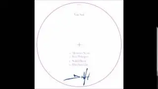 Vin Sol - Memory Scan