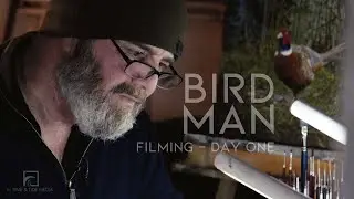 Falconer & Artist, living in pirate country - North Devon, England