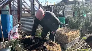 Strawbale Vegetable Gardening two weeks of preparation in 20 minutes